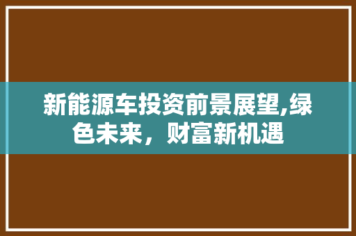 新能源车投资前景展望,绿色未来，财富新机遇