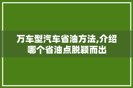 万车型汽车省油方法,介绍哪个省油点脱颖而出