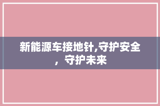 新能源车接地针,守护安全，守护未来