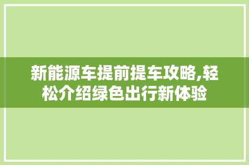 新能源车提前提车攻略,轻松介绍绿色出行新体验