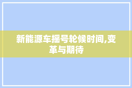 新能源车摇号轮候时间,变革与期待