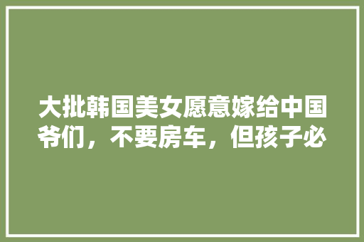 2023年度最易爆款的车型盘点,科技与时尚的完美结合