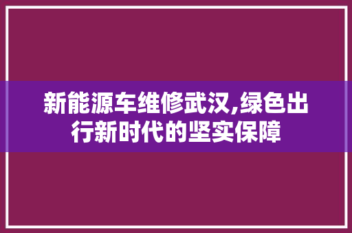 新能源车维修武汉,绿色出行新时代的坚实保障