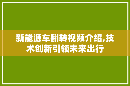 新能源车翻转视频介绍,技术创新引领未来出行