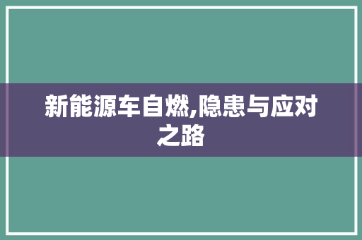新能源车自燃,隐患与应对之路