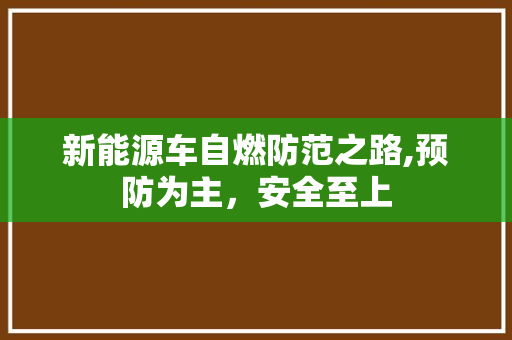 新能源车自燃防范之路,预防为主，安全至上