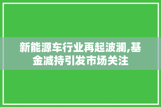 新能源车行业再起波澜,基金减持引发市场关注