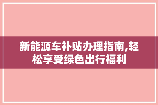 新能源车补贴办理指南,轻松享受绿色出行福利