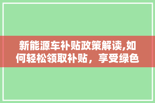 新能源车补贴政策解读,如何轻松领取补贴，享受绿色出行福利
