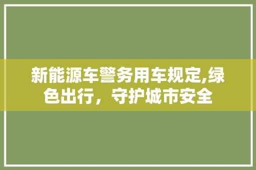 新能源车警务用车规定,绿色出行，守护城市安全