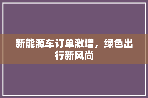 新能源车订单激增，绿色出行新风尚