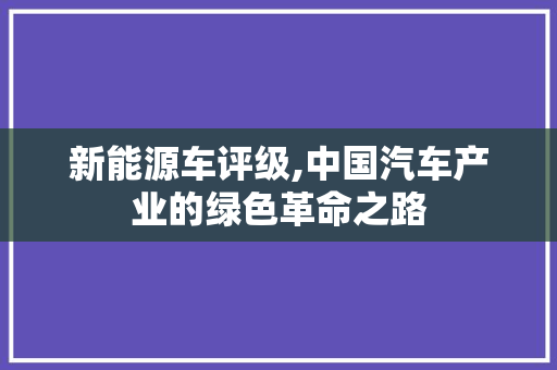 新能源车评级,中国汽车产业的绿色革命之路