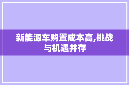 新能源车购置成本高,挑战与机遇并存