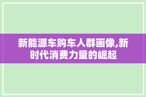 新能源车购车人群画像,新时代消费力量的崛起