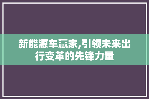 新能源车赢家,引领未来出行变革的先锋力量