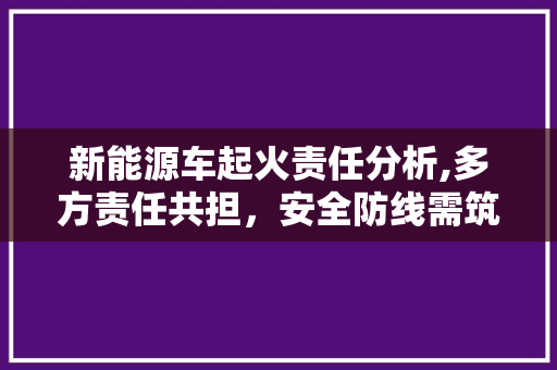 新能源车起火责任分析,多方责任共担，安全防线需筑牢