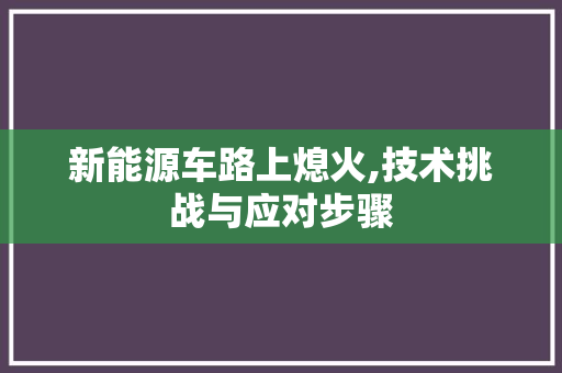 新能源车路上熄火,技术挑战与应对步骤