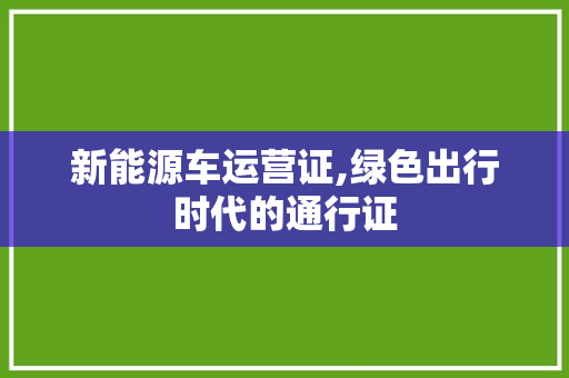 新能源车运营证,绿色出行时代的通行证