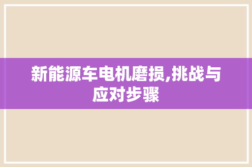 新能源车电机磨损,挑战与应对步骤