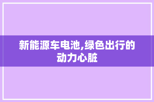 新能源车电池,绿色出行的动力心脏