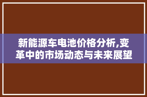 新能源车电池价格分析,变革中的市场动态与未来展望