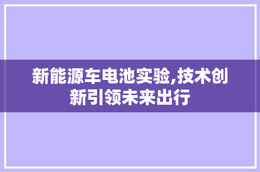 新能源车电池实验,技术创新引领未来出行