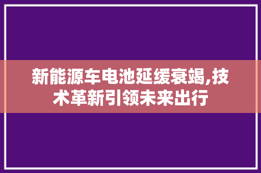 新能源车电池延缓衰竭,技术革新引领未来出行