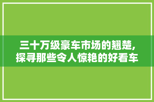 三十万级豪车市场的翘楚,探寻那些令人惊艳的好看车型