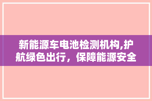 新能源车电池检测机构,护航绿色出行，保障能源安全