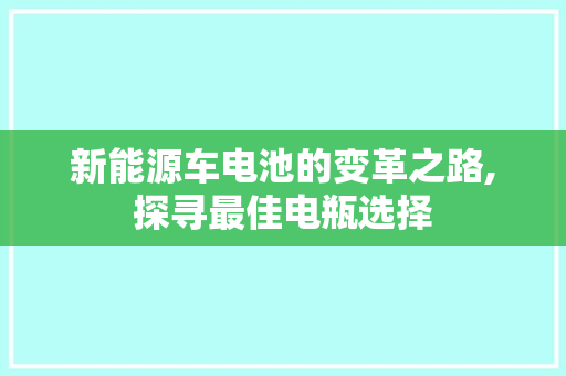 新能源车电池的变革之路,探寻最佳电瓶选择