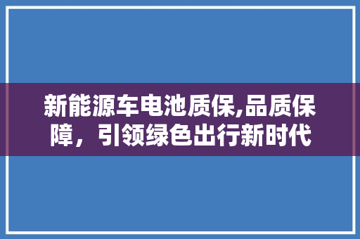 新能源车电池质保,品质保障，引领绿色出行新时代