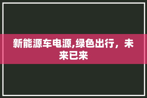 新能源车电源,绿色出行，未来已来