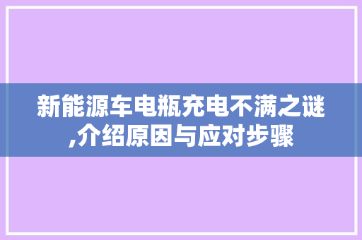 新能源车电瓶充电不满之谜,介绍原因与应对步骤