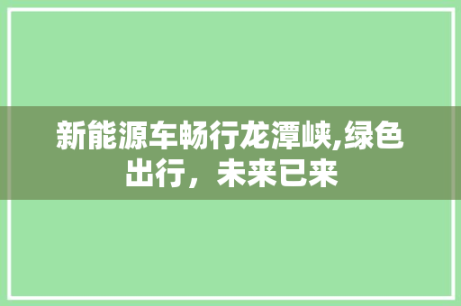新能源车畅行龙潭峡,绿色出行，未来已来