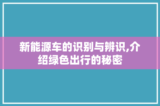 新能源车的识别与辨识,介绍绿色出行的秘密