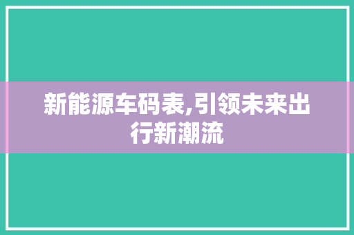 新能源车码表,引领未来出行新潮流
