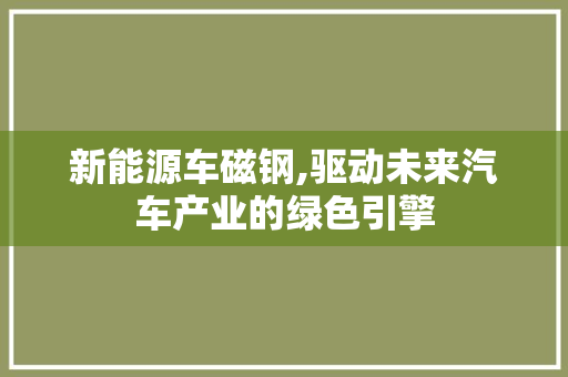 新能源车磁钢,驱动未来汽车产业的绿色引擎