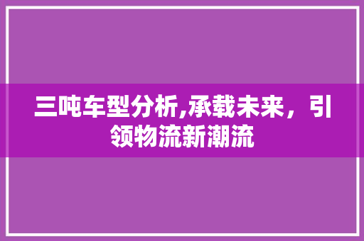 三吨车型分析,承载未来，引领物流新潮流
