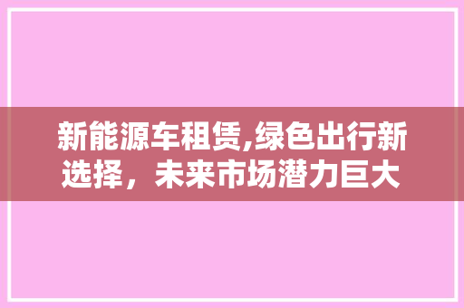 新能源车租赁,绿色出行新选择，未来市场潜力巨大