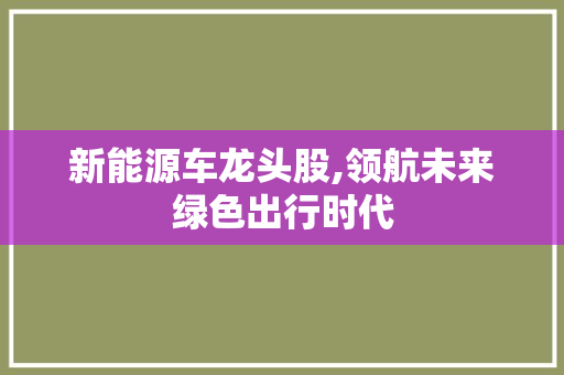 新能源车龙头股,领航未来绿色出行时代