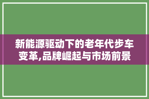 新能源驱动下的老年代步车变革,品牌崛起与市场前景