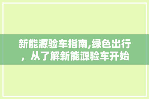 新能源验车指南,绿色出行，从了解新能源验车开始
