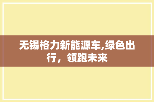无锡格力新能源车,绿色出行，领跑未来