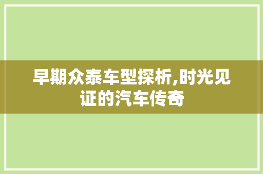 早期众泰车型探析,时光见证的汽车传奇