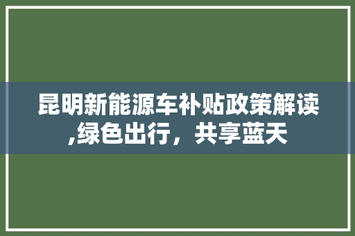 昆明新能源车补贴政策解读,绿色出行，共享蓝天
