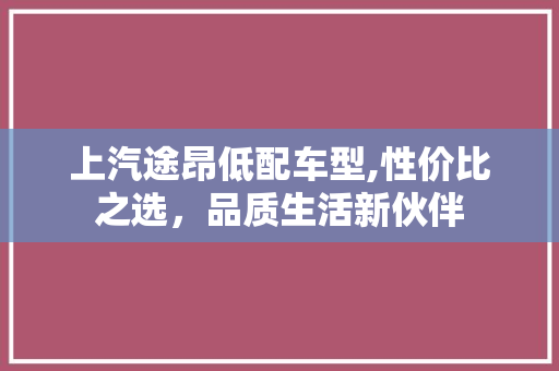 上汽途昂低配车型,性价比之选，品质生活新伙伴