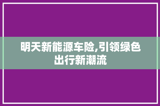 明天新能源车险,引领绿色出行新潮流