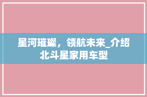星河璀璨，领航未来_介绍北斗星家用车型