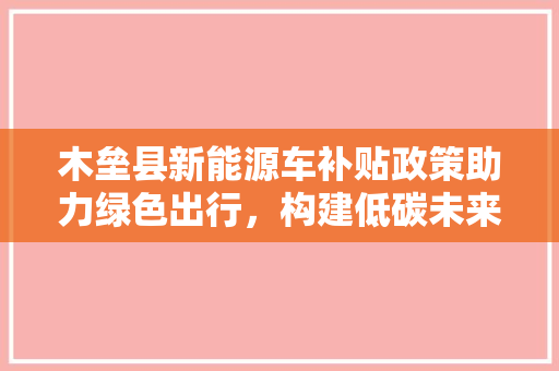 木垒县新能源车补贴政策助力绿色出行，构建低碳未来