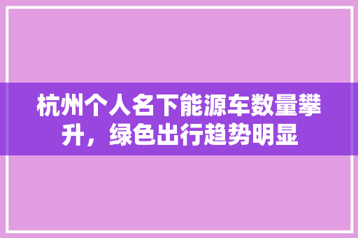 杭州个人名下能源车数量攀升，绿色出行趋势明显